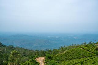 Leisure Mount Cottage -Haputale - 9