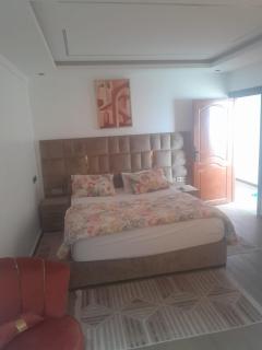 Peace Guest - 3
