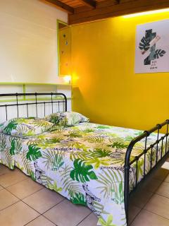 Studio charmant à Basse Terre, vue sur jardin, 15 m² - 8