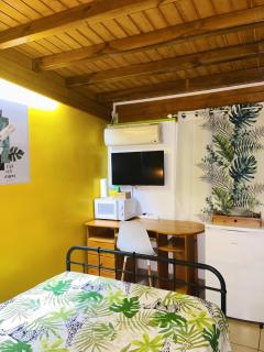 Studio charmant à Basse Terre, vue sur jardin, 15 m² - 5
