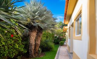 Welcoming House with Mountain View in Porto Santo - 5