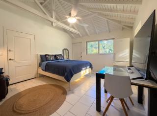 Charming studio Saint-Martin 30 m², garden - 0