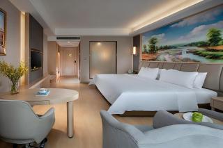 Vienna International Hotel Chengdu Convention and Exhibition Center Tianfu New District Qilong Metro Station - 3