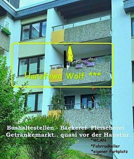 Harz-Fewo-Wolf - 2