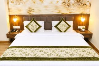 Hotel U&K Shree Palace - 1