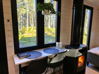 Serene Arctic Lodge - 1