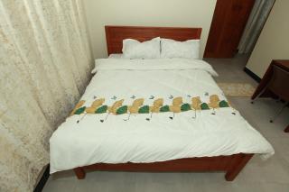 Ian light Residence Modern 1BR Apartment in Mwanza - 7