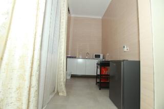 Ian light Residence Modern 1BR Apartment in Mwanza - 1