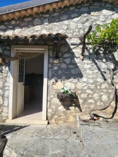 MamiHouse PARADISE - 8