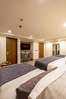 Hotel The Opaline Delhi Airport - 4