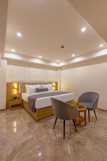 Hotel The Opaline Delhi Airport - 2