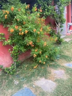 JAGA Hotel And Restaurant - 3