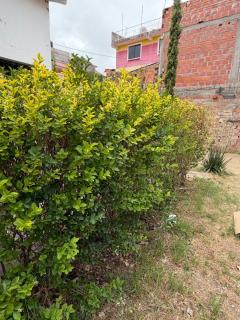 Monoambiente privado y estacionamiento - 1