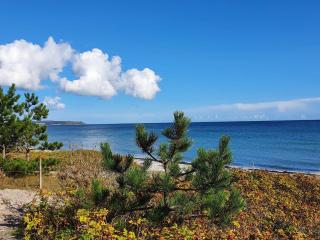4 person holiday home in Ebeltoft - 2