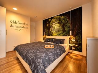 Penthouse K11 - The Stay Bodensee - 4