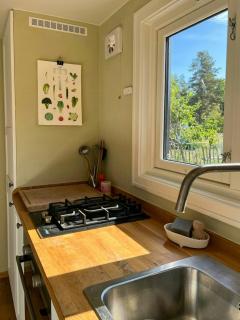 Micro house in a rose garden on a smallholding - 4