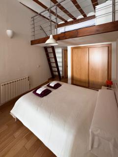Louro Salina - 6