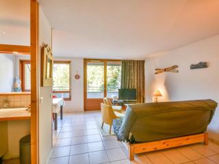 Appartement Morzine 6 pers, proche pistes, terrasse, parking - 2