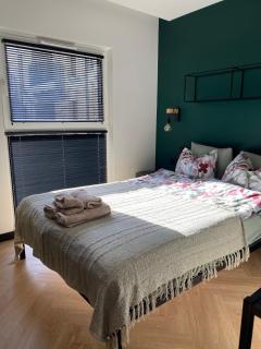 Szmaragdowy apartament w centrum Łodzi - 2