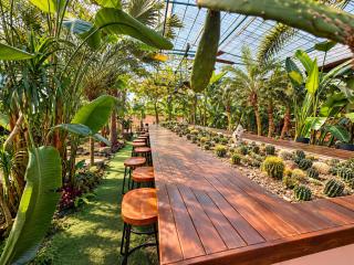 The Red Roof Monet Garden Resort - Pool & Family Fun - Where Karsts Meet a Playful Water Garden - By the way to Yangshuo - Complimentary Airport Pick-up for 2 Nights & Tailor-Made Tours - Liangfeng - 3