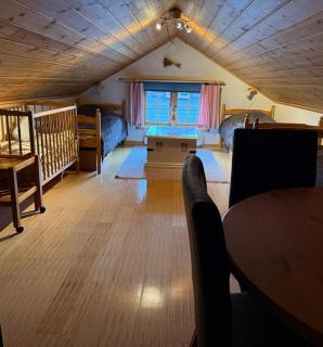 Mysig stuga med utsikt och närhet till lift, spår - 2