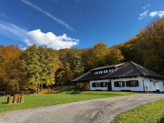 Hunter's Mansion - Transylvania - 4