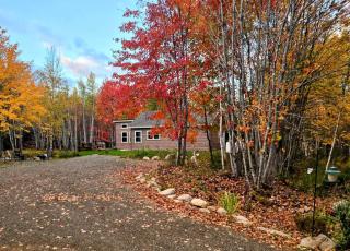 NEW 2BR house 5 min to restaurants hiking 1dog ok - 8