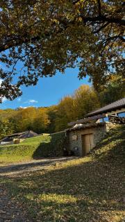 Hunter's Mansion - Transylvania - 3