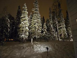 Spacious Villa Ilvesrinne in Ruka - 2 winter ski passes, Sauna, EV Char, Forest views - 7