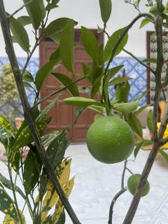 Riad Nour Medina - 2