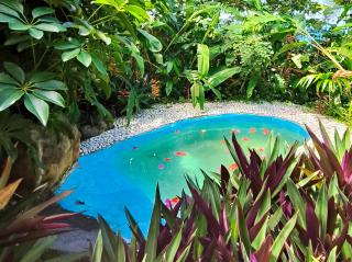 TropicAngel ECOLODGE de Charme - 6
