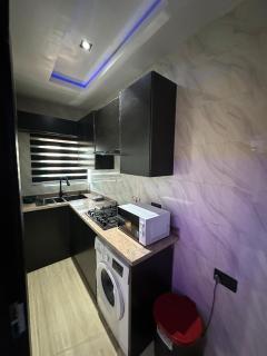Celeste Unit - 2