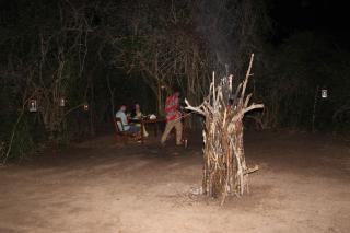 Yala Mobile Camping - 4