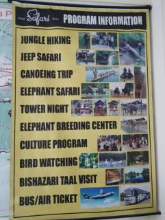 Hotel Safari Suite - 3