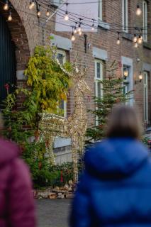 Hoeve de Binnenplaets - Appartementen - Glamping - Familieverblijf - 7