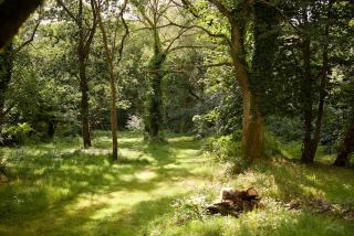 Riverside cottage on private wildlife estate 3-bed - 6