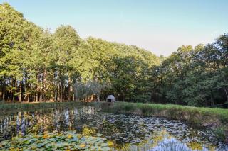 1 Bed in Far Forest oc-d30808 - 6