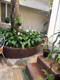 Cosy studio - Mumbai - 9