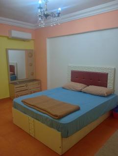 apartment for rent in Alexandria - 6