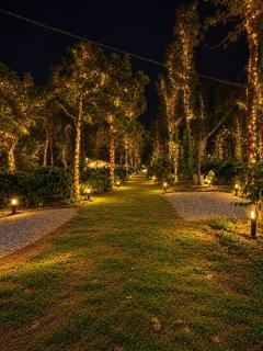 SA Villa - 6