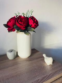 Alexandra Studio - 6