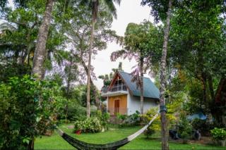 Syara villa - 7