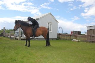 SeaSide Cottages - Eyrarbakki - 4