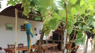 Hostal casa blanca - 2