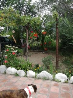 Hostal casa blanca - 1