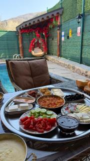 Çinili mavi köşk - 9