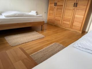 Ferienwohnung Hochrhein Albbruck - 6