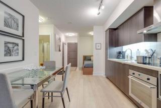 LUX 2BR 1BA Steps to CN Tower W Parking included - 8