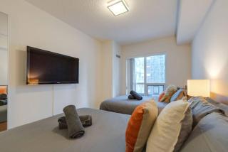 LUX 2BR 1BA Steps to CN Tower W Parking included - 9