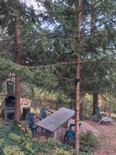 The house at the larchen - 3